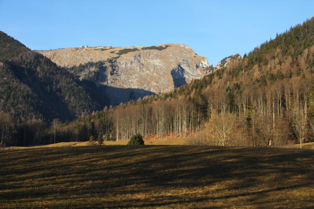 Haus Seeschwalbe Saint Wolfgang المظهر الخارجي الصورة